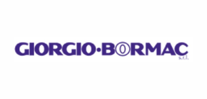 The image shows the logo of Giorgio Bormac S.r.l. It features the company name in bold, capitalized purple letters with an oval shape inside the first "O" of "BORMAC". The abbreviation "S.r.l." is in smaller text at the bottom right. The background is white.